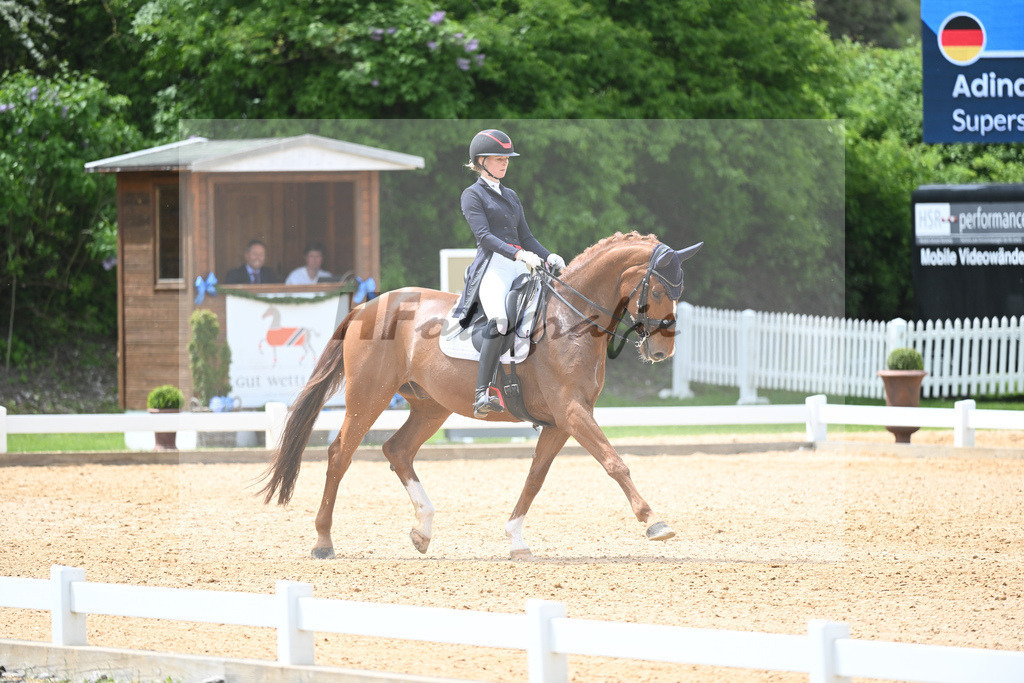 Baer_Superstar_11233745 | hf-fotografie - Realisiert mit Pictrs.com