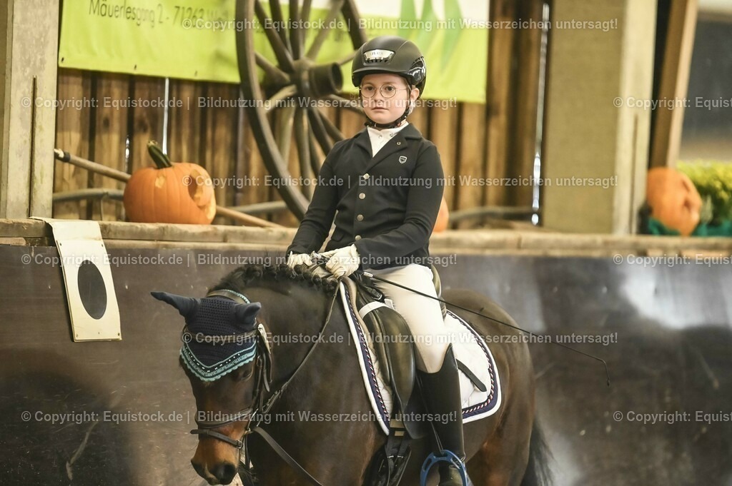 20231029_02_Reiter-WB_Schritt-Trab-Galopp_Abteilung-03_0026 | Foto: Thomas Hartig