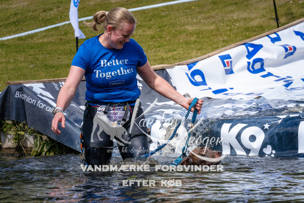 _ZZ993761053 | kk-dogfotos