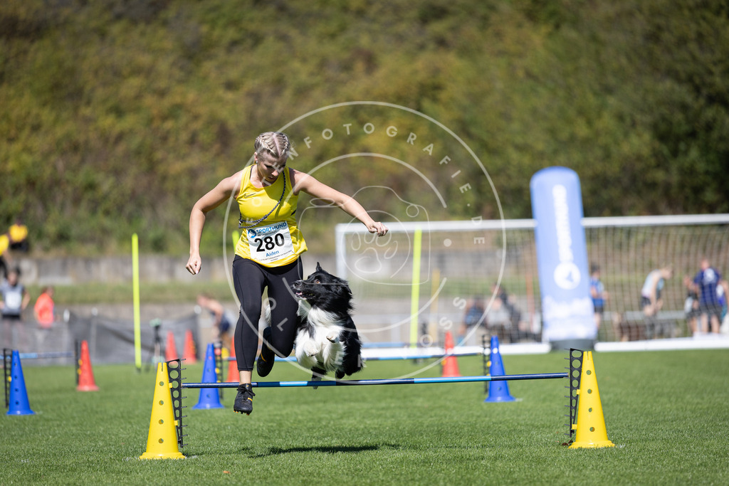 Pfotenfotografie_DV3A7069 | Hundefotografie, Tierfotograf, Pfotenfotografie, Fotoshooting Hund, Hunde Portrait, Hundesport, Hundeportraits, Heideshooting, Hunde, Sportfotograf, Hundefotograf, Turnierhundsport, THS,  - Realisiert mit Pictrs.com