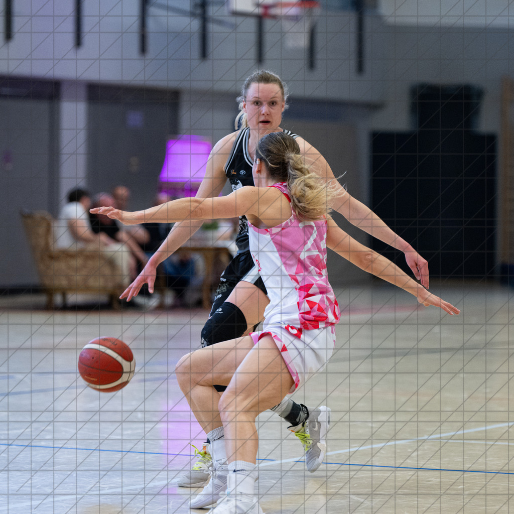 2. DBBL PlayOff 24/25 | 12.04.2025 | Dillingen Diamonds vs. BBC OS | 1/8-Finale, 2. Spiel  | 2. DBBL PlayOff 24/25 | 12.04.2025 | Dillingen Diamonds vs. BBC OS | 1/8-Finale, 2. Spiel  - - - - - CREDIT, www.bullenfotos.de, Martin König, Hörner Weg 40, D-49078 Osnabrück, +4917663732967, Nutzung und Weitergabe nur zu den vereinbarten Zwecken. Presseanfragen an Urheber. Alle Rechte beim Urheber. - - - - - - Realisiert mit Pictrs.com
