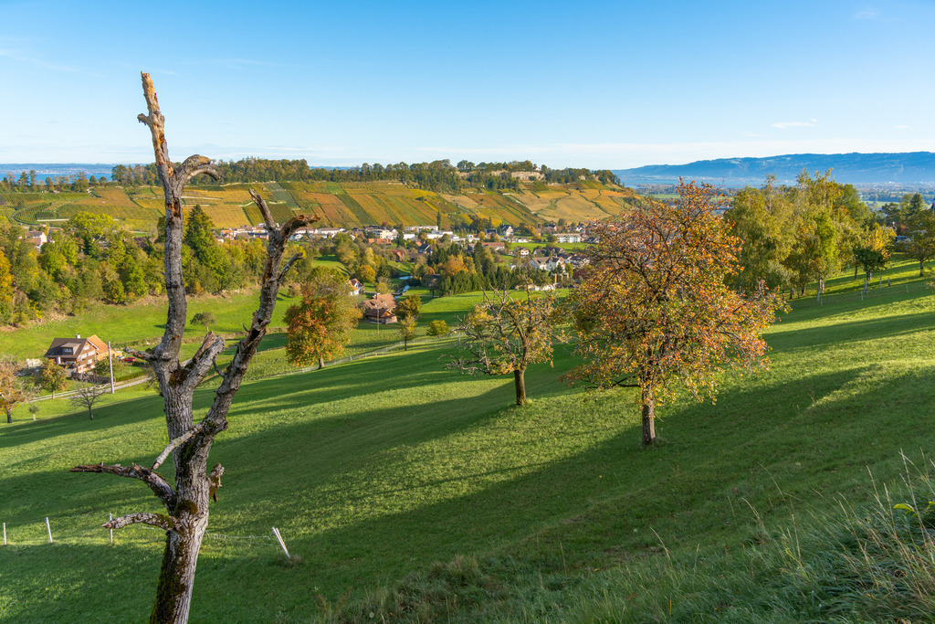 2023_10_28 A7C00109 | bridgeman - Realisiert mit Pictrs.com