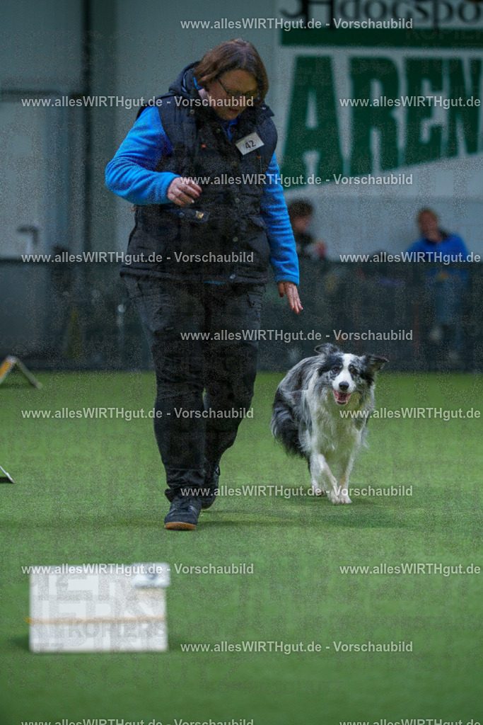 7R506287 | Professionelle Tierfotografie in Mönchengladbach von Daniel Wirth (allesWIRTHgut). Liebevolle & natürliche Bilder von Hunden & Katzen für unvergessliche Erinnerungen.