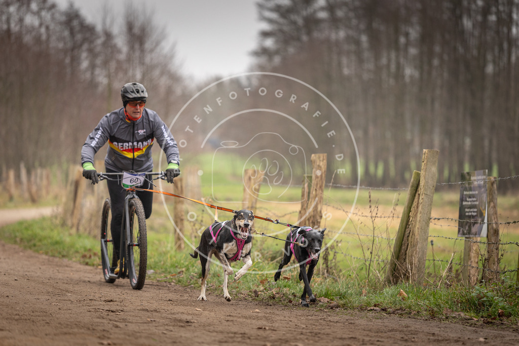 Pfotenfotografie_DV3A3232 | Hundefotografie, Tierfotograf, Pfotenfotografie, Fotoshooting Hund, Hunde Portrait, Hundesport, Hundeportraits, Heideshooting, Hunde, Sportfotograf, Hundefotograf, Turnierhundsport, THS,  - Realisiert mit Pictrs.com