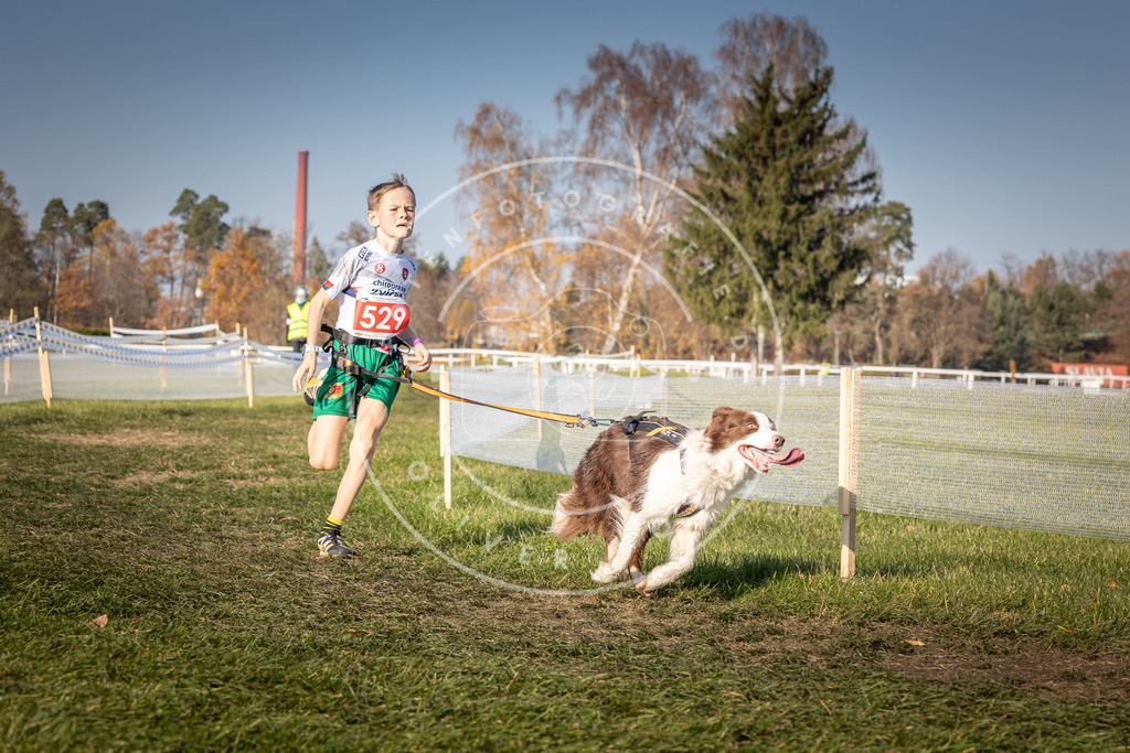 CaniXpix_0L8A8876 | Hundefotografie, Tierfotograf, Pfotenfotografie, Fotoshooting Hund, Hunde Portrait, Hundesport, Hundeportraits, Heideshooting, Hunde, Sportfotograf, Hundefotograf, Turnierhundsport, THS,  - Realisiert mit Pictrs.com