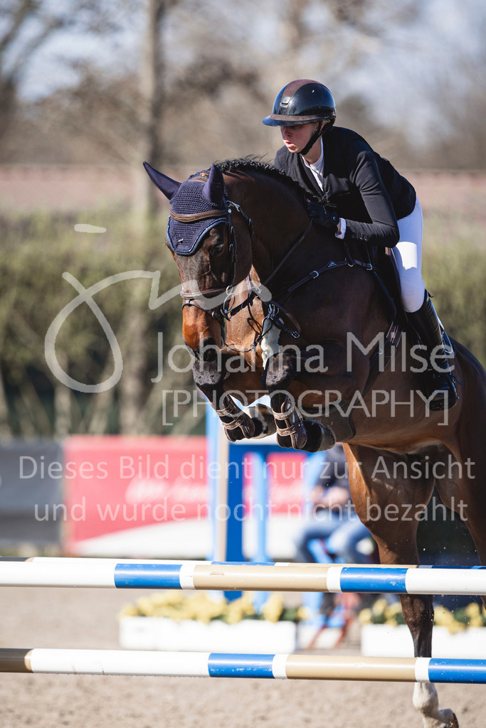 250408_Mühlen_SprPf-A2-251 | Deine schönsten Turniermomente als professionelle Fotos! Entdecke hochwertige Pferdesport-Fotografie im Online-Shop. Jetzt Fotos finden & bestellen!