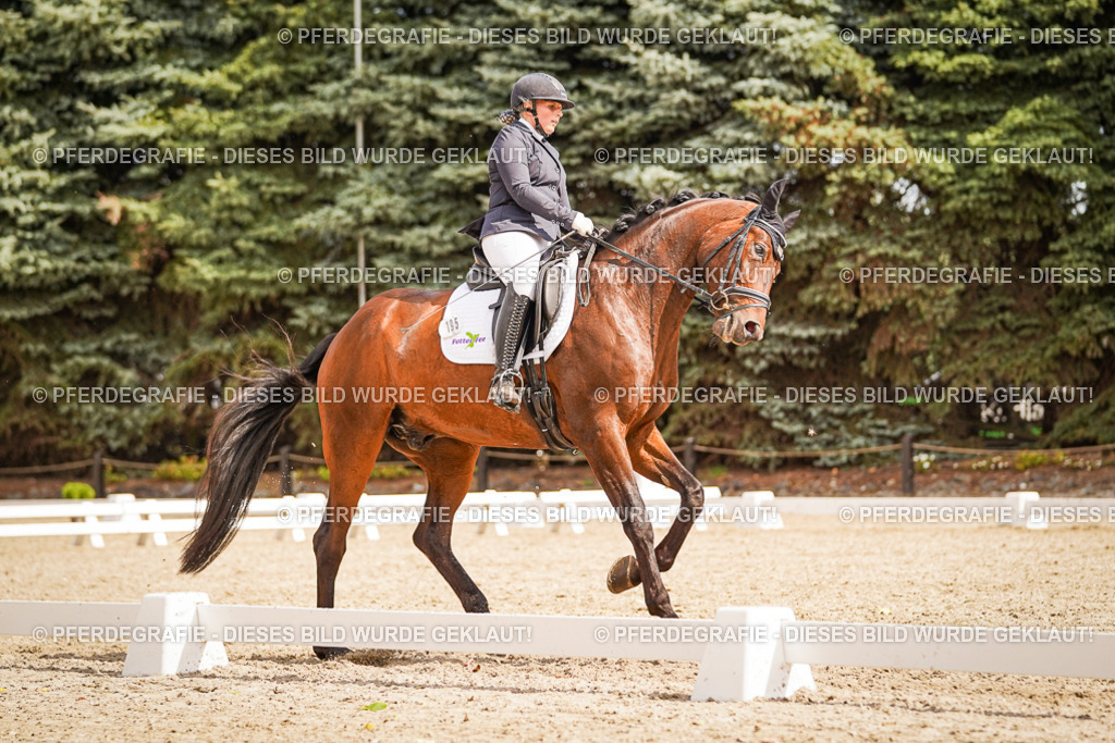 DSC01688 | Pferdegrafie