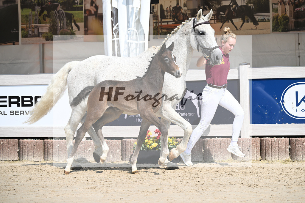 Dia Corrado x Carpalo_HF_Stierle_12250284 | hf-fotografie - Realisiert mit Pictrs.com