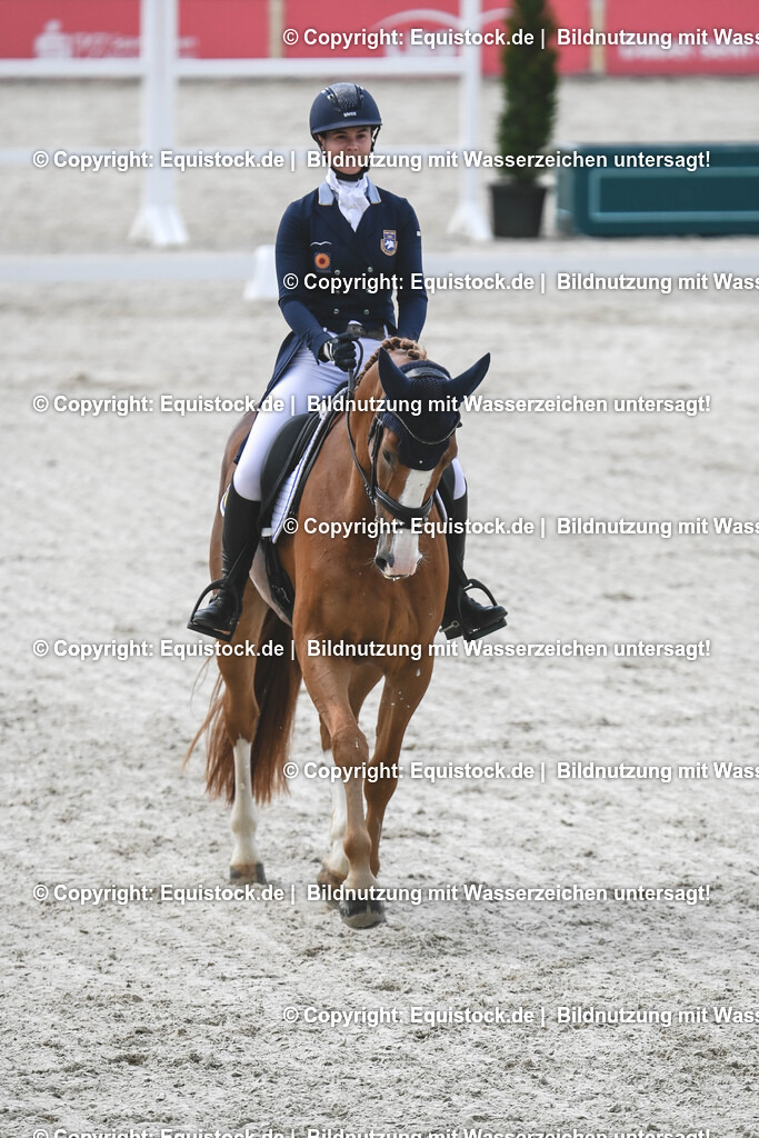 20250516_CCI2_Dressur_0242 | Foto: Thomas Hartig