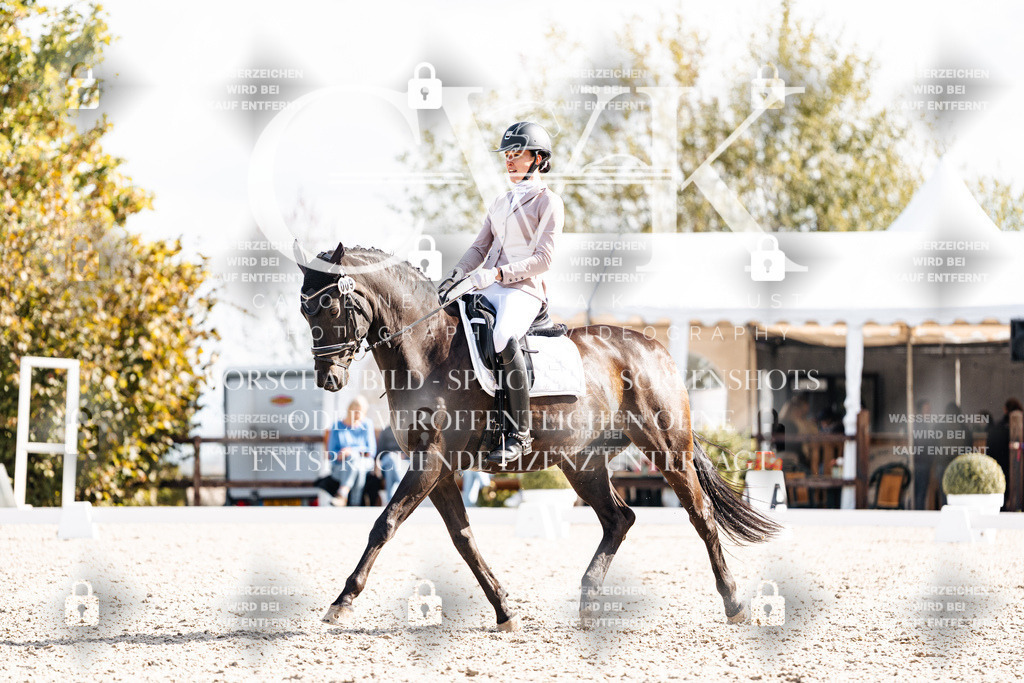 CK901929 | Turnierfotografie Pferdefotografie Trier Rheinland-Pfalz Pferdesport Reitsport Tierfotografie Sportfotografie Pferdevideo Pferdevideografie Equestrianvideography equestrianphotography  - Realisiert mit Pictrs.com