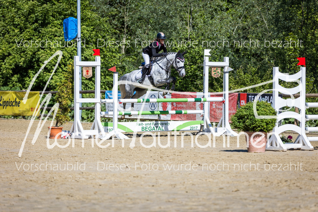 Donop24-A2Spr-181 | MomenTaufnahmen Pferdesportfotos