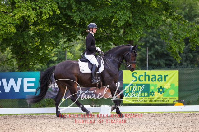 DKP41160 | Turnierfotos kaufen im Webshop von Daniel Kuhl Photography – entdecke professionelle Reitsportfotos aus Turnieren & Events. Hochwertige Turnierbilder online bestellen & sichern. Jetzt Fotos von Reitsportturnieren kaufen!