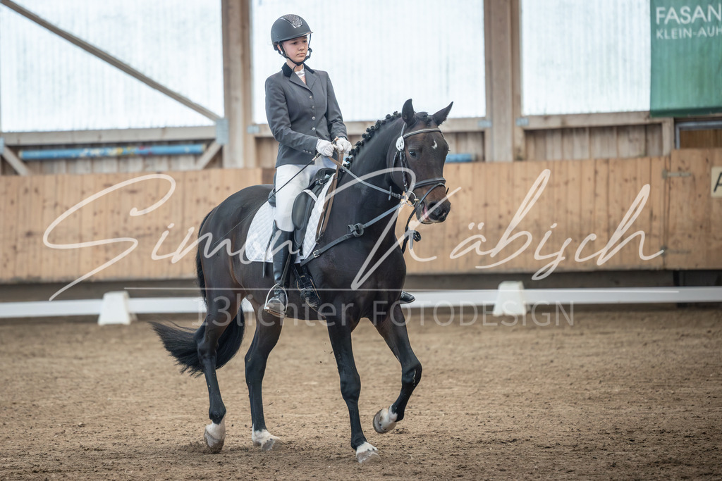 20251011-_3LI7767 | Tierfotografie Pferde, Hunde, Katzen, Haustiere.
Turnierfotografie Reitturniere, Reiten, Springreiten, Dressur in Hanau, dem Main-Kinzig-Kreis und dem Rhein-Main- Gebiet um Frankfurt