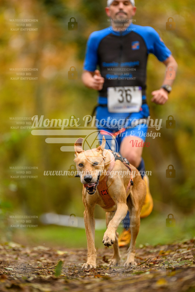 MompixPhotography_Bischwiller24_SA_Canicross-18 | PayLife