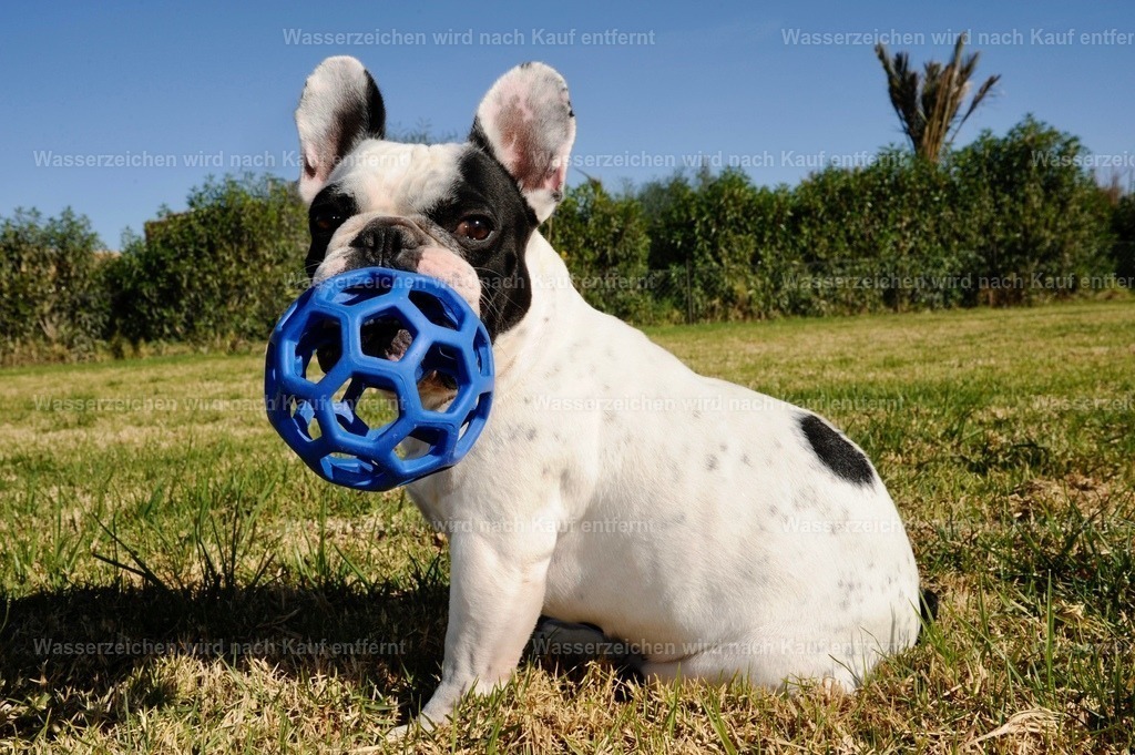 _DSC1967 | heikomoeller - Realisiert mit Pictrs.com