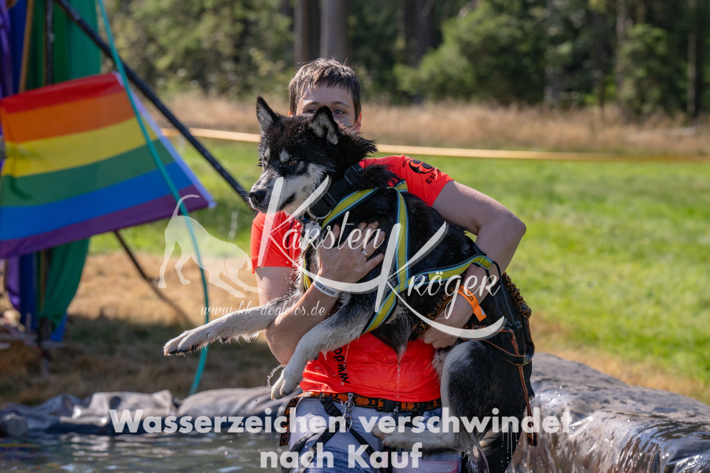 1149_ZZ90522 | kk-dogfotos
