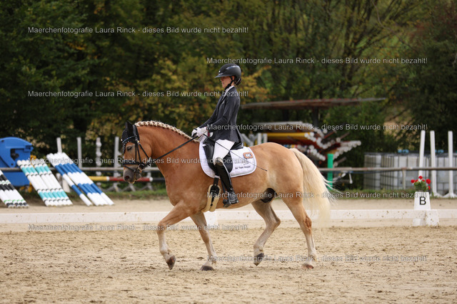 HG9A0463 | laurarinckfotografie - Realisiert mit Pictrs.com