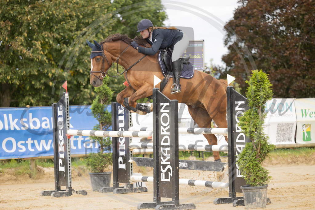 994A9295 | sabrinanicolaifotografie - Realisiert mit Pictrs.com