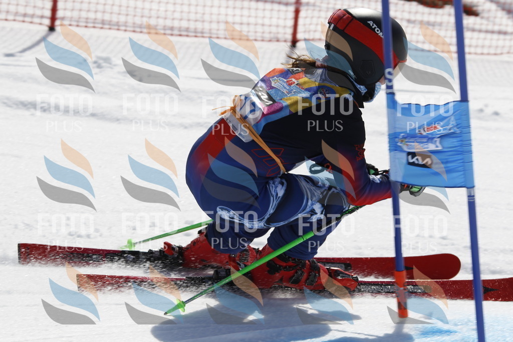 _U3G0651 | holidayphoto