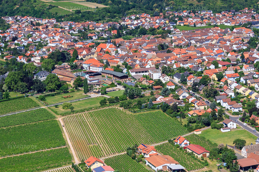 Luftbild: Gebäude und Parkanlagen am Weingut Dr. Bürklin-Wolf in Wachenheim an der Weinstraße im Bundesland Rheinland-Pfalz in Deutschland. Foto: IMG_30143.jpg vom 05.07.2010 durch Werner Riehm/FLY-FOTO.deWeingut Dr. Bürklin Wolf: Weingut Dr. Bürklin-Wolf