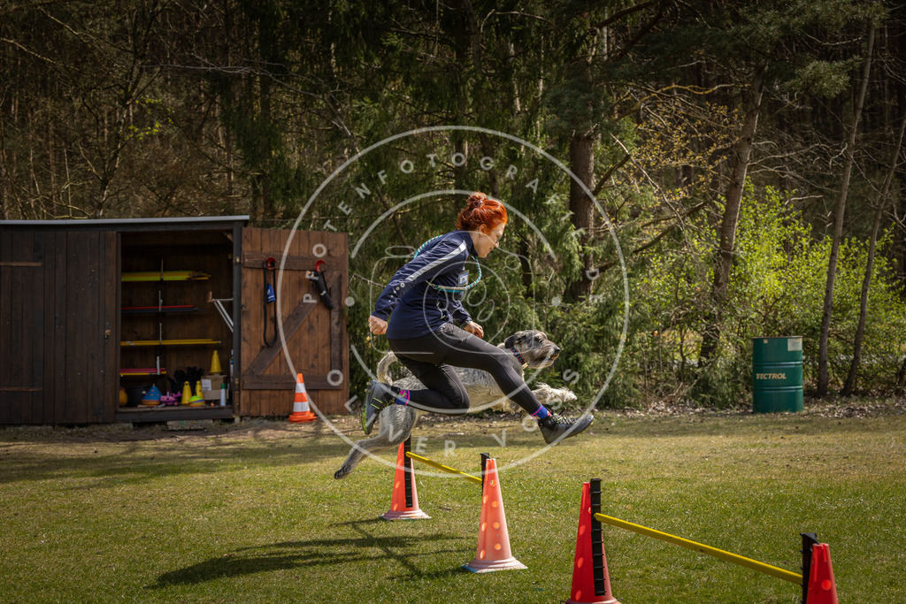 Pfotenfotografie_DV3A3706 | Hundefotografie, Tierfotograf, Pfotenfotografie, Fotoshooting Hund, Hunde Portrait, Hundesport, Hundeportraits, Heideshooting, Hunde, Sportfotograf, Hundefotograf, Turnierhundsport, THS,  - Realisiert mit Pictrs.com