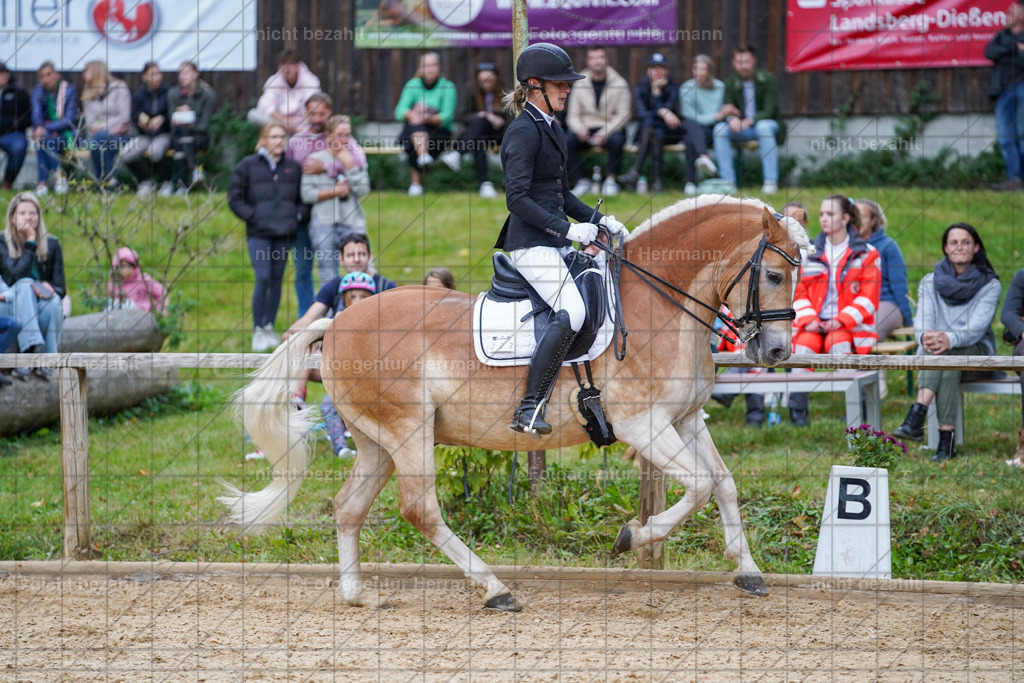 20231007-SN_00827 | Professionelle Turnier- und Reitsportfotografie - mit dem Finger am Auslöser. Pferdebilder aus dem Reitsport von den Turnierfotografen  Bayern , Pferdefotograf Bayern, Pferdeshooting Turnierbilder, Hochzeitsfotograf, Eventfotograf, Hochzeitsbilder