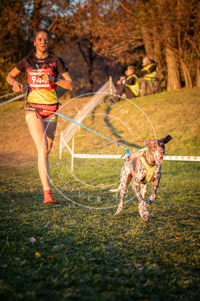 CaniXpix_0L8A1941 | Hundefotografie, Tierfotograf, Pfotenfotografie, Fotoshooting Hund, Hunde Portrait, Hundesport, Hundeportraits, Heideshooting, Hunde, Sportfotograf, Hundefotograf, Turnierhundsport, THS,  - Realisiert mit Pictrs.com