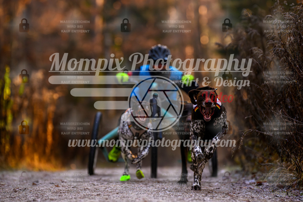 MompixPhotography_DM_AKDM_SO_2025_Wagen-48 | PayLife