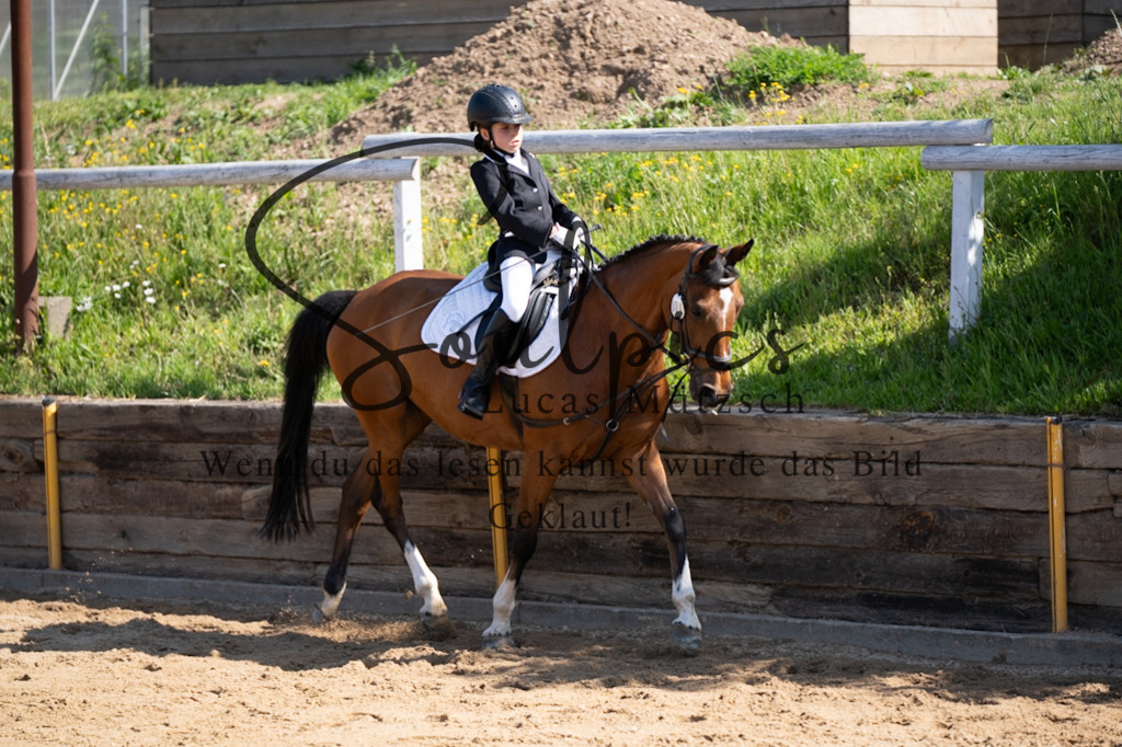 A7V07768 | Pferdefotograf