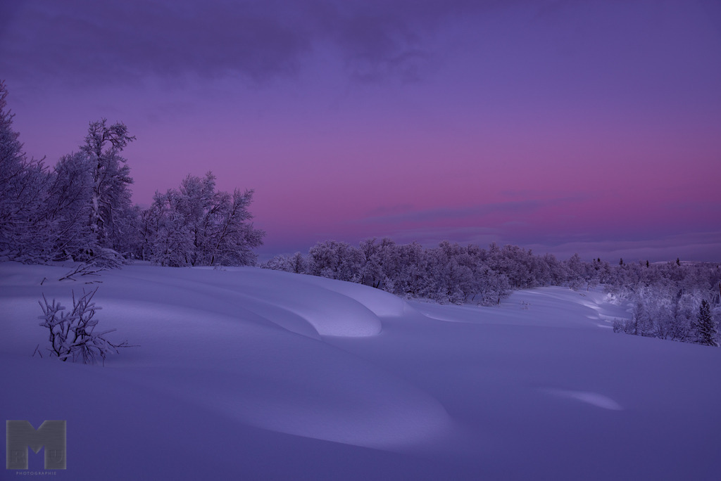 Spätes Licht auf frischem Schnee | Landschafts- und Tierfotografie zu allen Jahreszeiten. Und immer die Schönheit des Lichtes im Auge... - Realisiert mit Pictrs.com