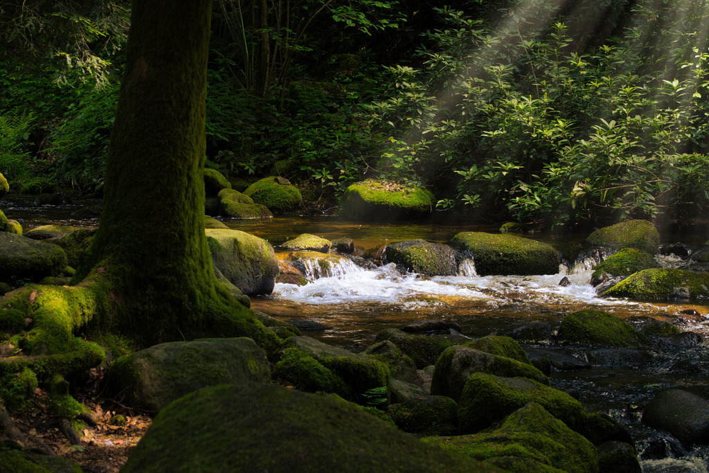 DSCF6145-Bearbeitet-1 | Tier- & Landschaftsfotografie und Porträtshootings. Entdecke einzigartige Fotokunst als Wandbild, Tasse oder Mauspad – mit Leidenschaft fotografiert - Realisiert mit Pictrs.com