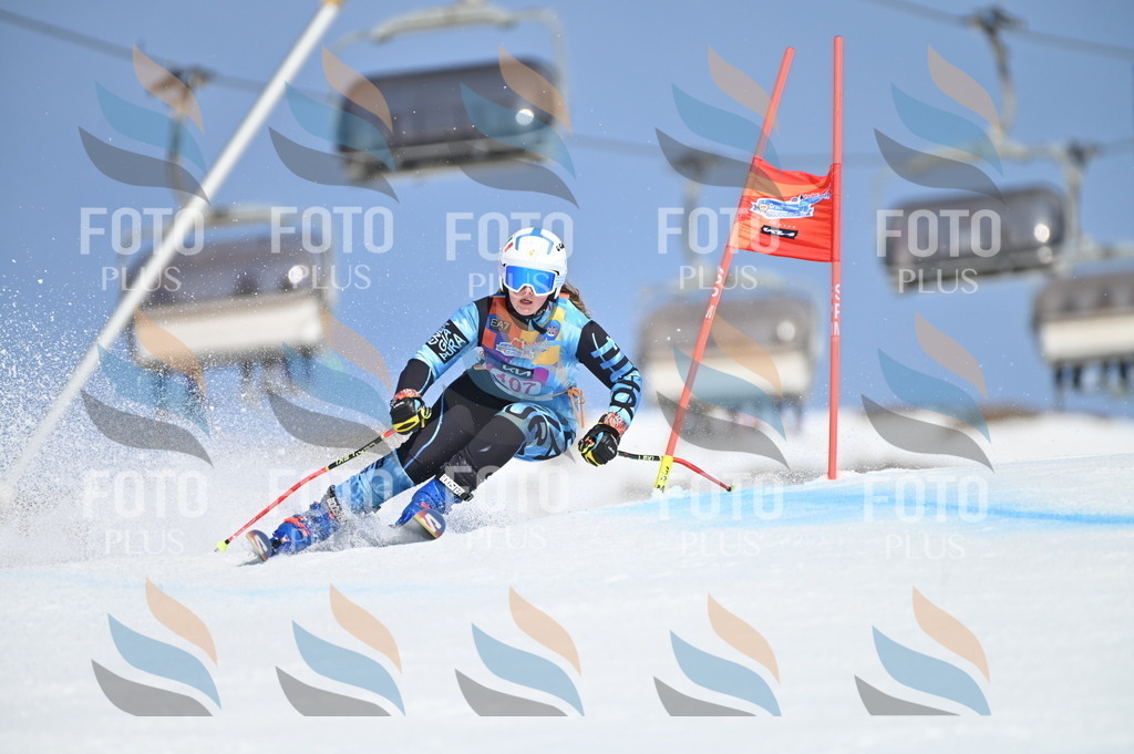 BGV_9575 | holidayphoto