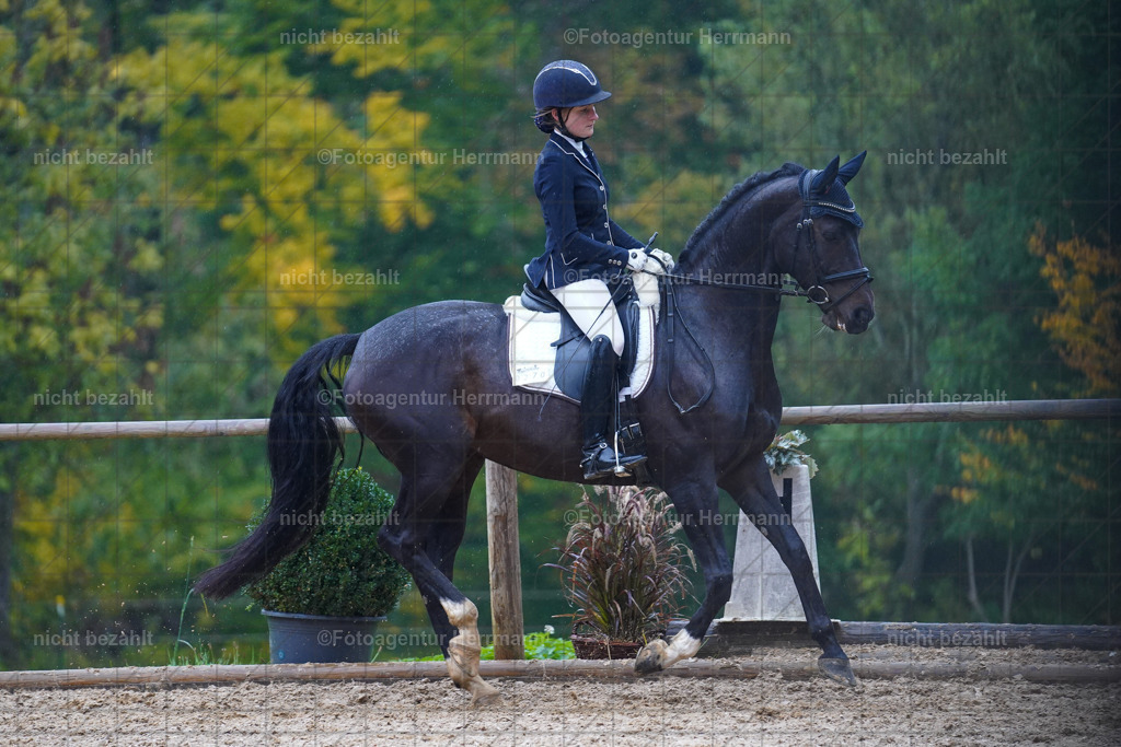 20221008-FAH02147 | Diessen am Ammersee, 2022, Dressur- und Springturnier, Reitsportbilder, Turnierfotografen Bayern, Pferdefotografen, Fotoagentur Herrmann, Turnierbilder