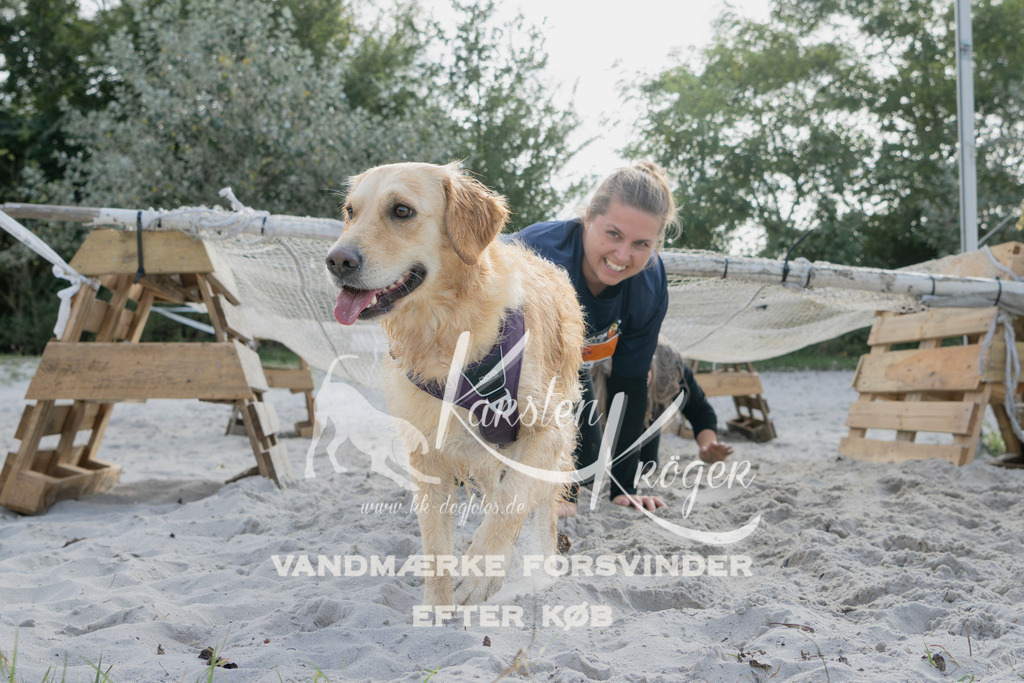 1325_ZZ96491 | kk-dogfotos