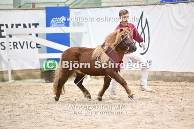 21_Edson v._T Heut - Lucky_963_1745 | Björn Schroeder Pferdefotografie