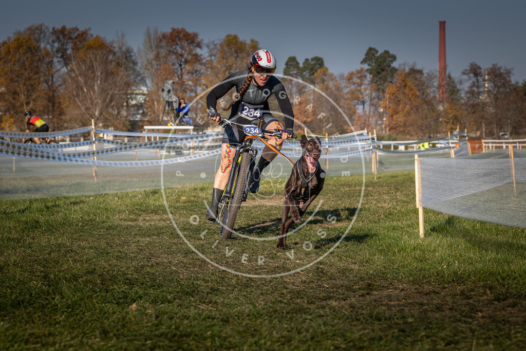 CaniXpix_0L8A6358 | Hundefotografie, Tierfotograf, Pfotenfotografie, Fotoshooting Hund, Hunde Portrait, Hundesport, Hundeportraits, Heideshooting, Hunde, Sportfotograf, Hundefotograf, Turnierhundsport, THS,  - Realisiert mit Pictrs.com