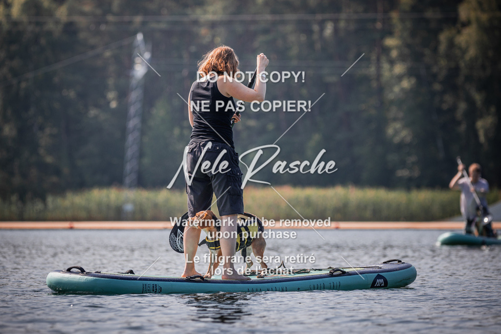BUHU_SUP_231 | nelerasche