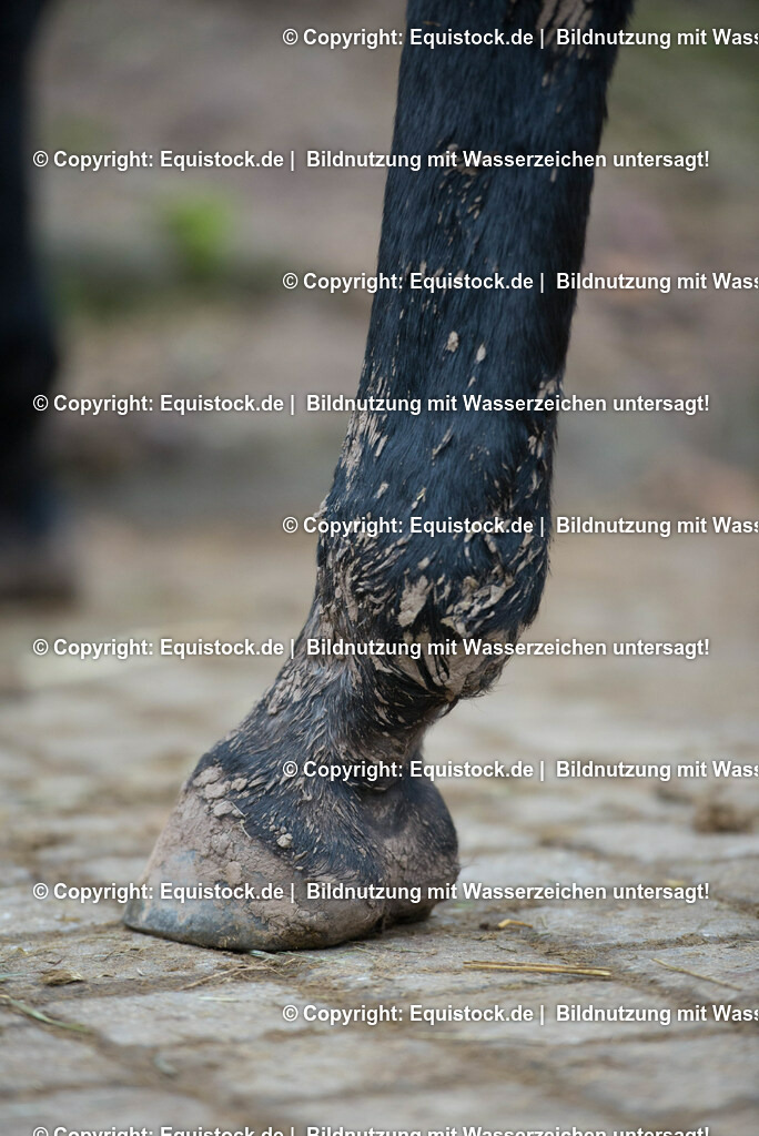 TPA_8270 | Foto: Thomas Hartig