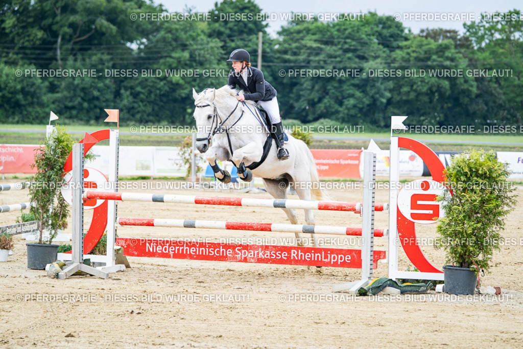 DSC03570 | Pferdegrafie