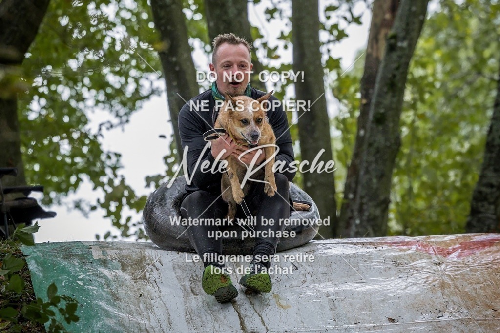 nelerasche_Hunsrück_Sa0930-1000_431-final | nelerasche