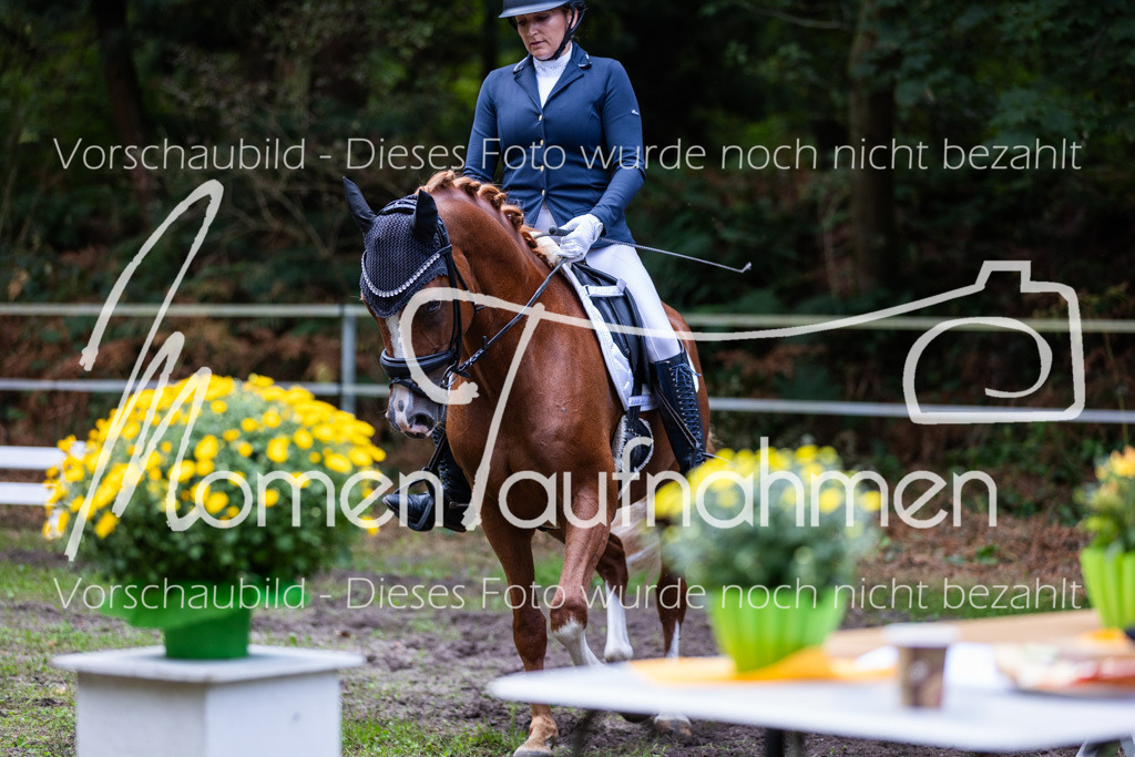 HB-A-Dressur-157 | MomenTaufnahmen Pferdesportfotos