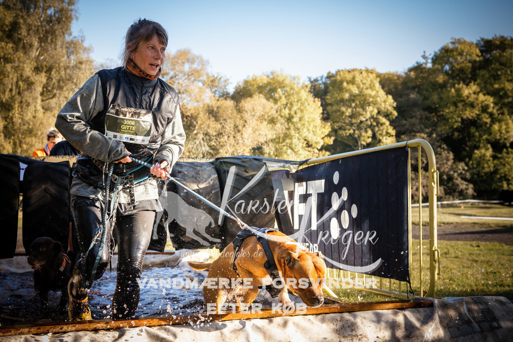 0927_ZZ91040 | kk-dogfotos