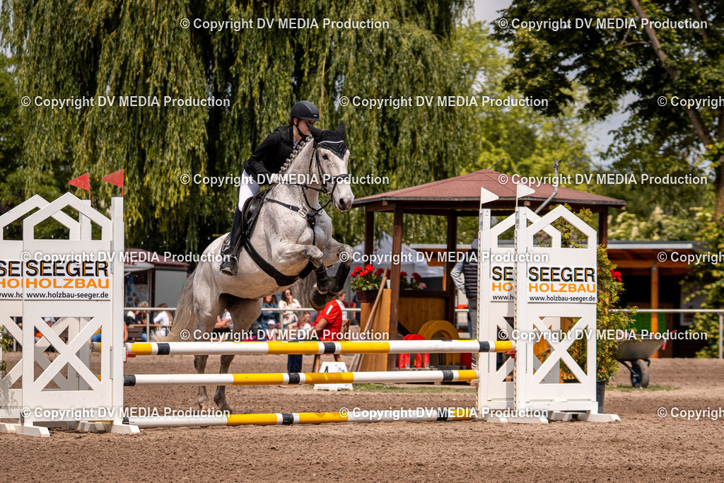 Eppelheim Tag 3-511 | dv-media-shop - Realisiert mit Pictrs.com