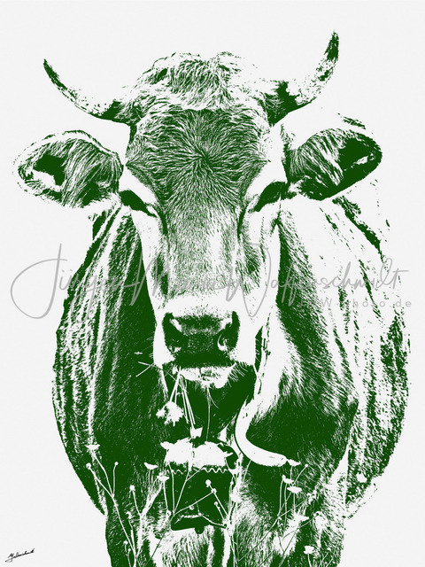 2025103_Kuh_Art_JMW_JMW | Allgäu Kühe, Hochgrat, Nagelfluh, Island und viel viel mehr hier im Shop. Jürgen Maria Waffenschmidt, Fotograf, Künstler, Produzent, Autor