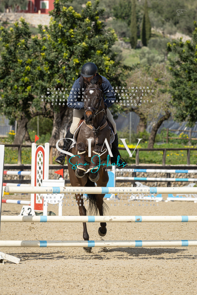 IMG_6735 | s-jay-photography - Realisiert mit Pictrs.com