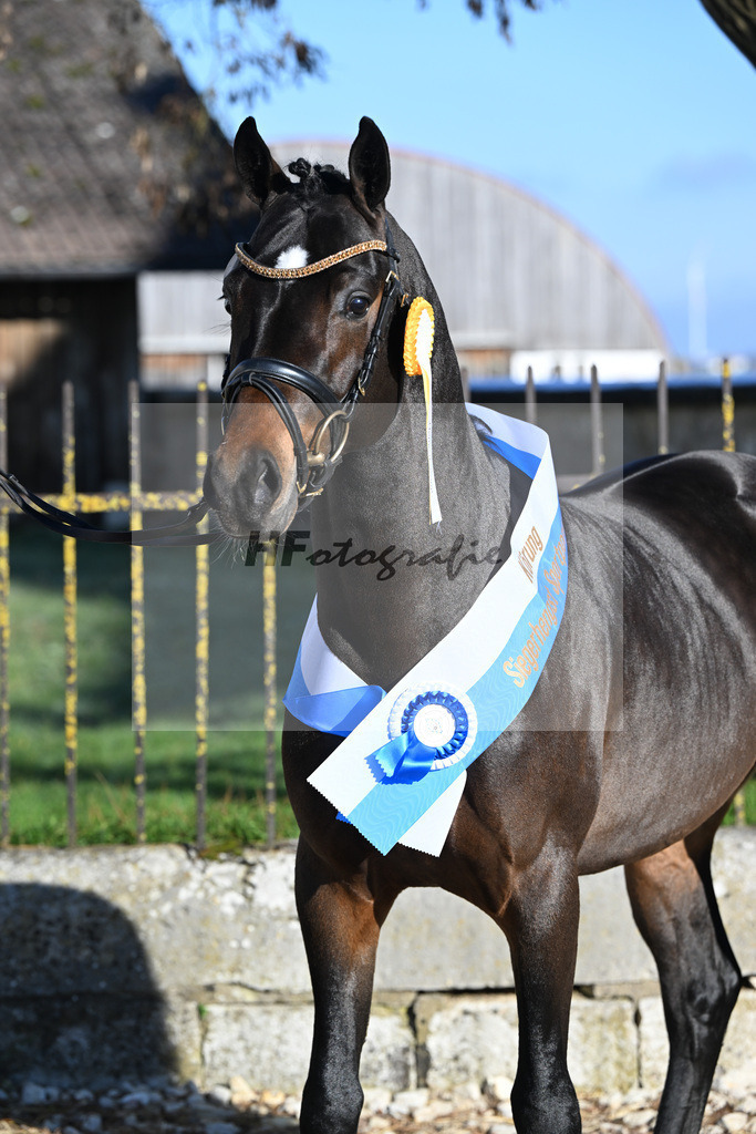 Kat-Nr. 6 Junkbrunnens Nomen est Omen v. Neverland WE_Thomas_49250330 | hf-fotografie - Realisiert mit Pictrs.com