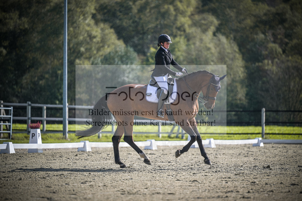 DOS_1448 | Entdecke hochwertige Reitturnierfotos von Foto Oger. Professionell, emotional und authentisch – jetzt Lieblingsmomente im Shop bestellen.Deutschlandweite Turnierfotografie. - Realisiert mit Pictrs.com
