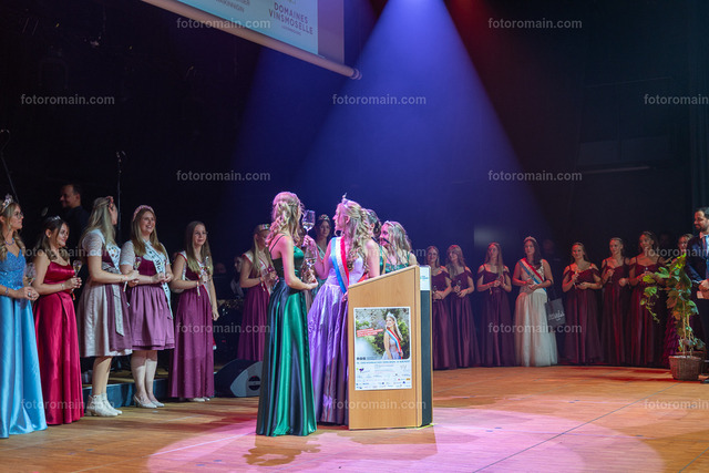 76.Gr_iwemaacher Wäinfest 2026. (170 von 243) | www.fotoromain.lu