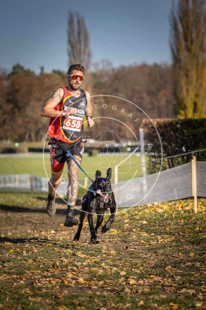 CaniXpix_DV3A0616 | Hundefotografie, Tierfotograf, Pfotenfotografie, Fotoshooting Hund, Hunde Portrait, Hundesport, Hundeportraits, Heideshooting, Hunde, Sportfotograf, Hundefotograf, Turnierhundsport, THS,  - Realisiert mit Pictrs.com