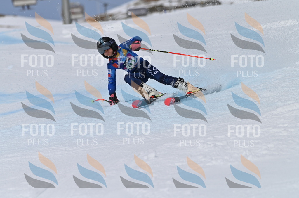 BGV_6167 | holidayphoto